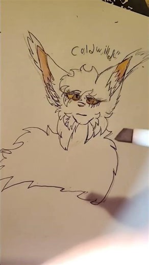 Drawing Coldwind! ‪@Croisawnt‬ s OC! #viral #art #fypシ #warriorcats #pencilart #catart
