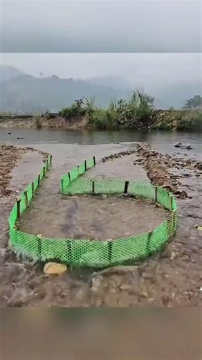 part4Unreal Fishing Moment! 10KG Monster Carp Caught With One Net 😳#shorts