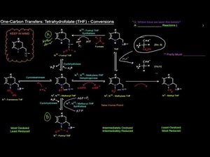 One Carbon Transfers (Part 4 of 5) - Tetrahydrofolate (THF): Conversions