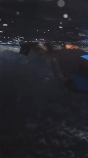 6.2K views · 356 reactions | Aloha, I’m Ocean Ramsey, and I am dedicated to raising awareness abou... - | Ocean Ramsey | Facebook