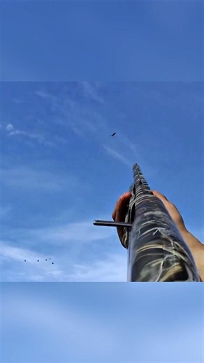 Cleanest Shot Ever! #goosehunting #birdhunting #chaos #hunting #chasse
