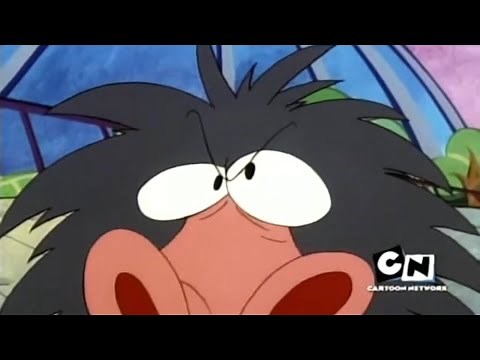 I Am Weasel I.R Baboon wants to play anything