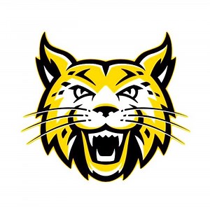 Women's Softball • Home