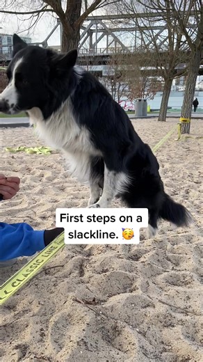 parkour.ninja on TikTok