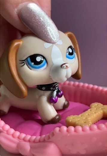 starting off strong with class of ‘09😻😻😻 #lps #lpscollection #lpstiktok #lpstok #lpscommunity #lpsskit #classof09