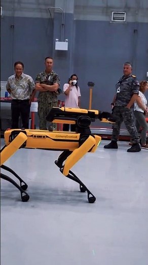How the US Navy Uses Robot Dogs for Ship Maintenance!