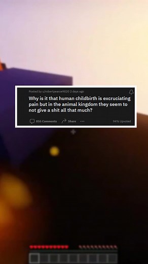 Why is Human Childbirth Painful? Explained by Veterinarians