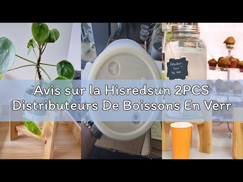 Avis sur la Hisredsun 2PCS Distributeurs De Boissons En Verre 4L Avec Robinet, Distributeur Boisson
