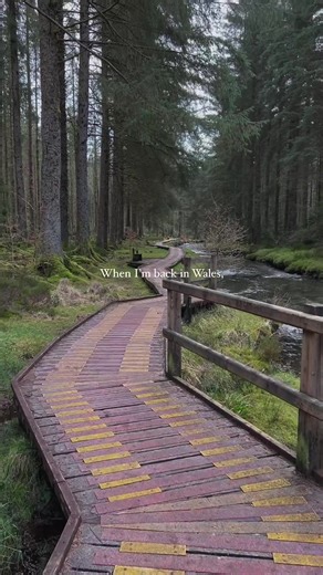 Plan Your 2024 Adventure: Explore Wales on a Memorable Road Trip