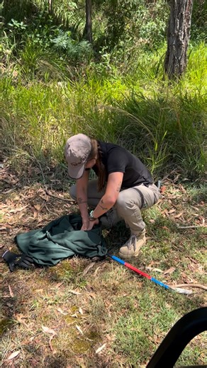 Have you seen a snake on a golf course before? 🏌🏼‍♂️ Tell me about it in the comments! From a main road petrol station to the bushy corner at the very back of the Merewether Golf Course. ⛳️ I know where I’d much rather live 💚 Thank you to my dad who drove the golf cart! For I know not of the etiquette of the golfing green. So I received some education to make sure I knew how to stay safe from a golf ball attack if I ever step onto a course. If I was to get hit by a ball, it would suck, and at