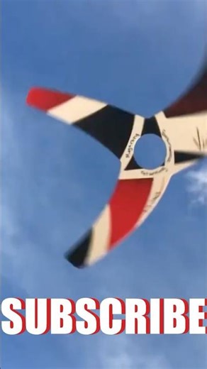TY the Tasmanian Tiger MEGARANG boomerang #boomerang #tasmania