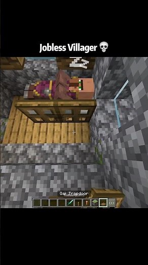Minecraft funny villager moments