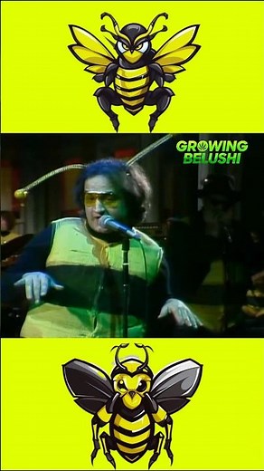 🐝💨 "Buzz Buzz" John Belushi & Dan Aykroyd #snl #johnbelushi #danaykroyd #snl #growingbelushi #bee