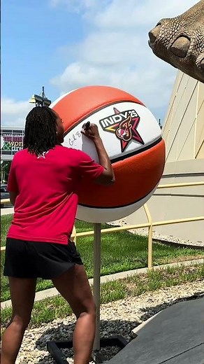 How the museum decorates its dinosaurs