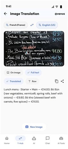 Image Translation in Vavus AI — translate text from photos