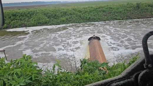 This is how we define a pump and dump scheme farming river bottom land, and it's about as far from the Wall Street definition as you could imagine...📈💧📊💦📉 Surface water standing on fields drains into lateral ditches where pumps are waiting to suck the water from the laterals and discharge it into the primary drainage ditches, which then carry it to the river. This process has become way too common and often has to be done mutiple times a year, but it's all part of prepping for planting, pro