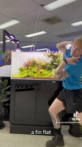 If you have fish, but not a water testing kit, youre doing it wrong!! Knowing your aquarium water parameters is the first step to a happy tank and healthy fish. Test kit here➡️ https://www.natureaquariums.com.au/products/api-freshwater-master-multi-test-kit-5-test-in-one?_pos=1&_psq=Master &_ss=e&_v=1.0 🐟✌️ #watertest #aquarium #fishhealth #largeaquarium #fishtank | Nature Pets & Aquariums