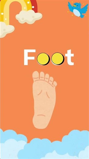 Learn Body Parts for Kids | Fun Learning Lesson with Miss Ayshi #kidslearning #educationalvideos