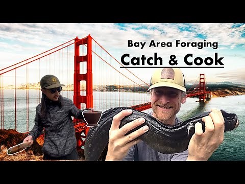 Lowtide Seafood Feast NEW SERIES: Catch, Cook & Culture