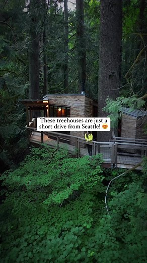 7.6K views · 237 reactions | ✨ Welcome to Treehouse Point, less than an hour from Seattle! This is a must add to your bucket list. #seattle #treehouse #pnw | The National Park Travelers | Facebook