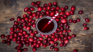 Advanced and Innovative Journey of Cranberries From Field to Juice