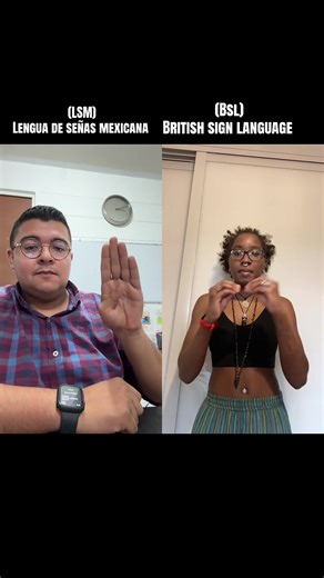 #dúo con @hipster_sunshine En este video comparamos el abecedario de la Lengua de Señas Mexicana (LSM) y la Lengua de Señas Británica (BSL), identificando sus diferencias en forma, uso de manos y estructura.” 🤟📘 #lenguadeseñasmexicana #lsm #fyp #edutok