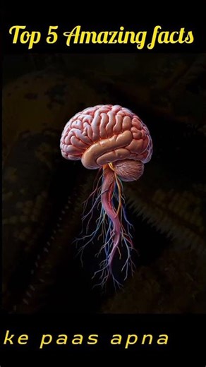 #facts #facts #factsvideo #amezingfacts #newfacts #trendingfacts #trendingshorts #trendingshorts