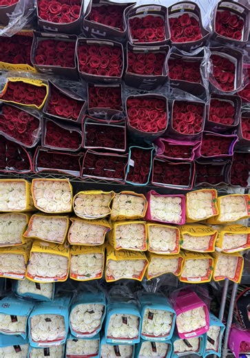Premium Ecuadorian Roses: Fresh Flowers at Great Prices