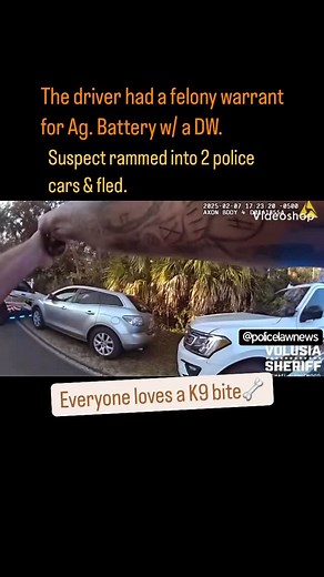 Volusia County, FL🐾 •Traffic stop. ••The driver (Randolph Brown) had a felony warrant for Ag. Battery w/ a DW. •Brown rammed into 2 police cars & fled. ••Spike strip deployment. •When Brown fled on foot - he was tracked & apprehended by a K9. 🐾🦴Good boy🐾🦴 | Police.Law.News