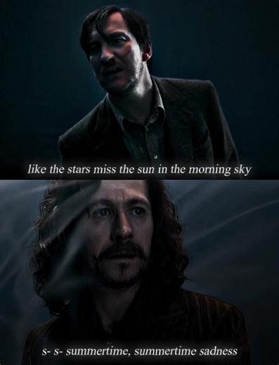 Sirius Black and Dobby Smiling Compilation
