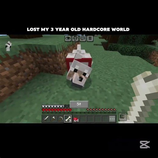 lost my 3 year old hardcore world #minecraft #cbum #fypシ #gaming #dog #sad #meme #edit