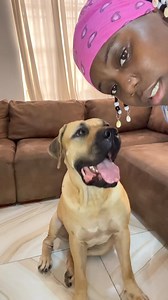 CINDY NO GO KILL ME 😩 | Teniola Apata