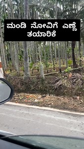 Crafting Vitex Negundo Magic Oil! Tune in as I show you the fresh Vitex negundo plant up close and walk through the traditional prep: harvest leaves, water extract, boil with sesame oil for that potent herbal goodness. Say goodbye to aches & inflammation! Who’s trying this? Drop questions below! #VitexNegundo #shimoga #karnataka | Dr RR Jain