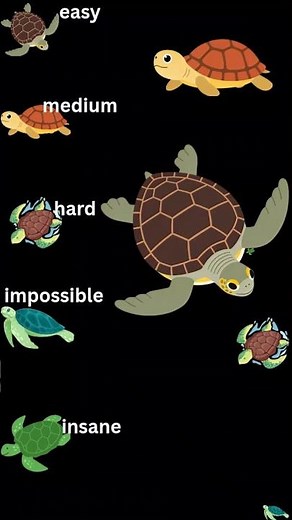 find all the turtles #adventure