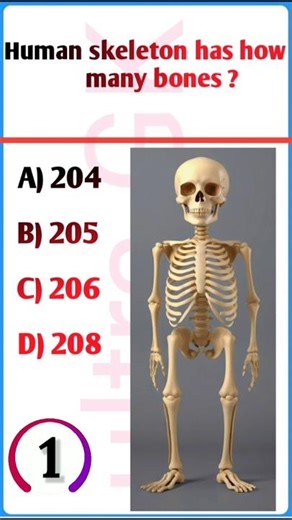 human skeleton has how many bones #shorts #ytshorts #ytshortsvideo