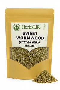 Organic SWEET WORMWOOD | Artemisia Annua | Herbal Tea, Promotion Annie Tea - Etsy