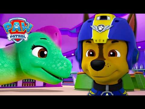 Dino on the Run in Adventure Bay! 🦖 | PAW Patrol | Spanish Episode | Compilation
