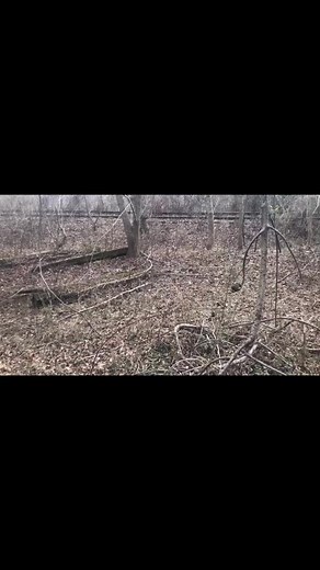 1.4K views · 27 reactions | The girls working hard. #catchandrelease #getoutside #flyfishing #fishing #trout #troutfishing #troutbum #flyfishva #shenandoahvalley #fishingislife | Cool Water Outfitters | Facebook