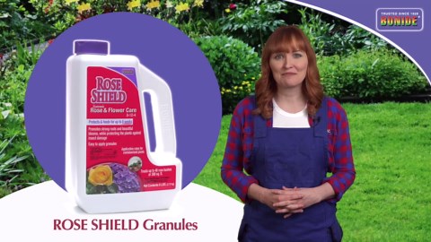 Bonide Rose Shield Systemic Rose & Flower Care, 6 lbs. Ready-to-Use Granules for Long Lasting Protection Against Garden Insects