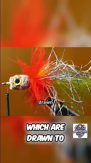 Ocean Predator: Angler Fish Camouflage Strategy Revealed!