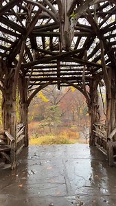 Central Park today, New York City 🍁🍂❤️ | Kelly Kopp