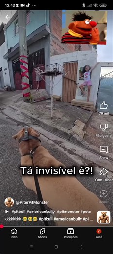 Os vídeos de luna Blox Roblox🥰🐈🐕🐾 (@lunablox107) com original sound - soundeffectpack