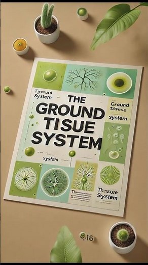 The Ground Tissue System: Structure & Functions Explained | Class 11 Biology #class11biology #yt