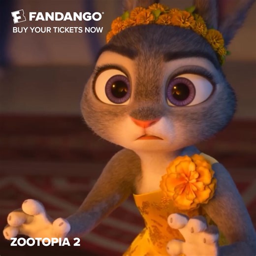 The city’s wildest heroes are back. Don’t miss the excitement of Zootopia 2. Get your tickets now on Fandango. | Fandango