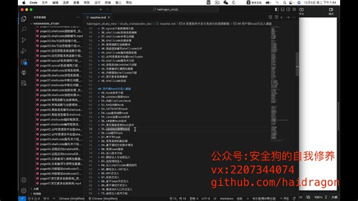 基于windows平台注入与hook视频教程