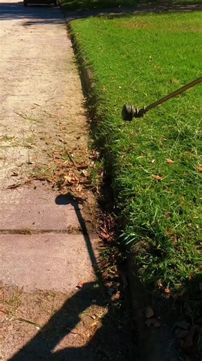 Expert Gardener Tips for Effective Pruning Techniques