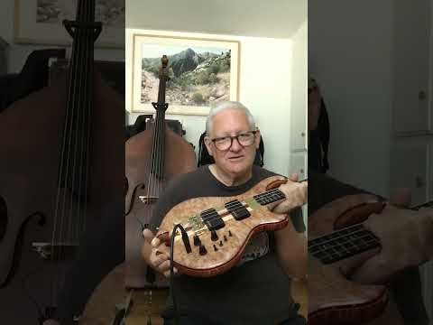 2026 Alembic Darling Bass 4 String Mutant Maple Demo-Trevor Lindsey