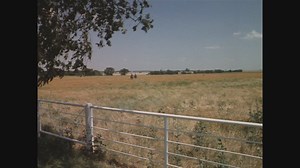 108K views · 3.2K reactions | Family bonding / J.R and Bobby Clash over Pam. #Dallas | Dallas Fanzine | Facebook