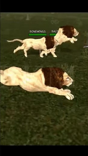 Ultimate Lion Simulator | Lion vs Wild Animals: Epic Battle for Survival #lion