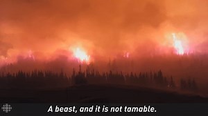 A couple of dozen people in Riske Creek, B.C. resisted the evacuation order to protect their community. This is what they saw when the wildfires came. www.cbc.ca/1.4213235 | CBC Vancouver